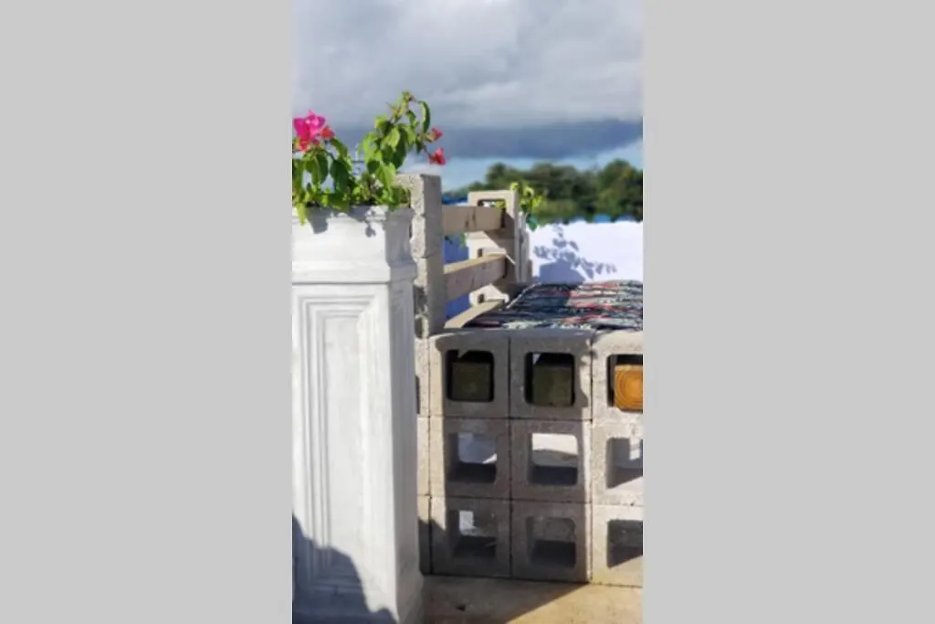 Terrace Studio In Naguabo Historic House 0*,