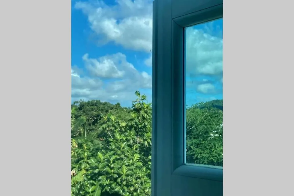 Terrace Studio In Naguabo Historic House