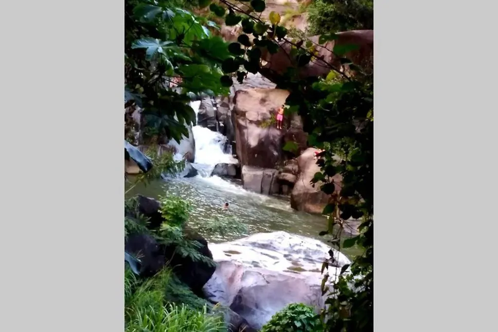 Terrace Studio In Naguabo Historic House